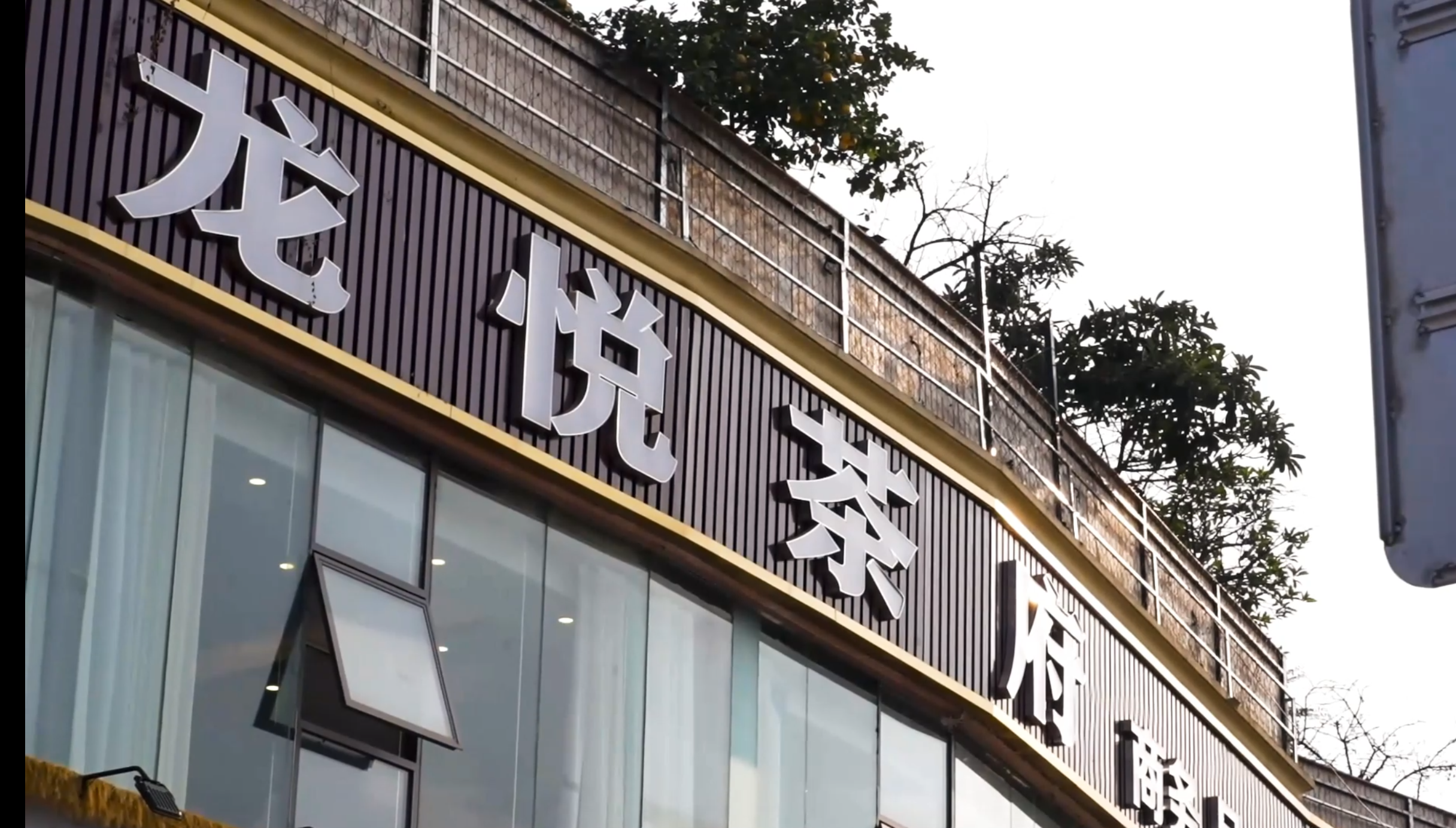 龙悦茶府
